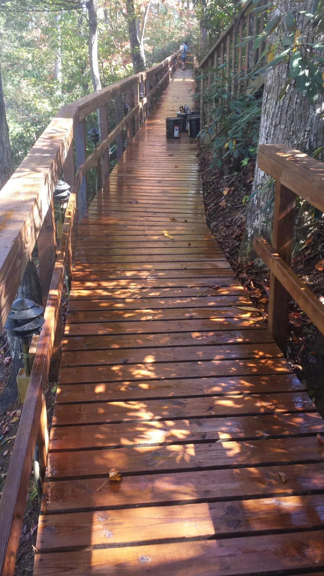 Freshly stained wood walkway winding through the woods in New Liberty